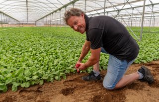 'Landbouwgrond mag je hier altijd voor de helft vol zetten met kassen'