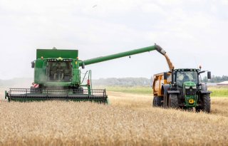 Gebrek aan zonuren funest voor tarweopbrengsten