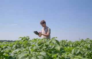 %27Wat+voor+een+teler+onzichtbaar+is%2C+maken+wij+zichtbaar%27