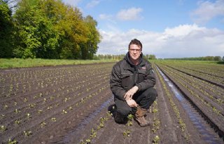 'Ik hou van de dynamiek en hectiek die het vak met zich meebrengt'