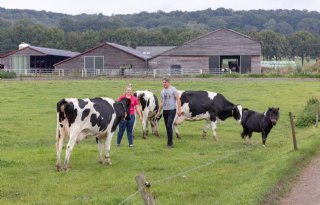 'Logisch plan' boeren Veluwezoom op losse schroeven