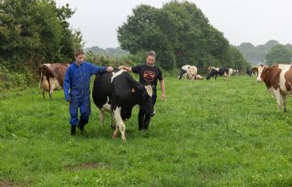 'EU moet rekening houden met opbrengend vermogen van grond in Bretagne'