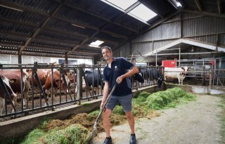 'Bedrijf is beter rond te zetten zonder opfok van eigen jongvee'