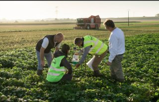 Bonduelle zet met regeneratieve landbouw stappen in duurzaamheid