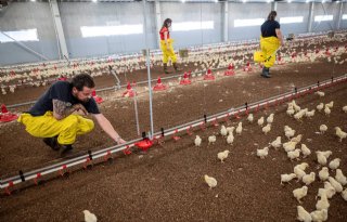 'De puzzelstukjes zijn met de zorgboerderij op hun plek gevallen'