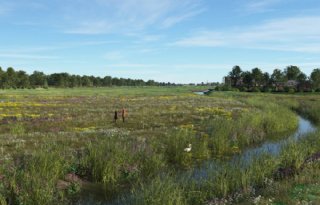 Polder+Oranjebonnen+mag+natuurgebied+met+natuurbegraafplaats+worden