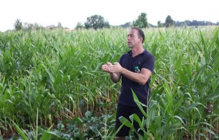 No-till farming is voor deze Zwitserse akkerbouwer bijna een religie