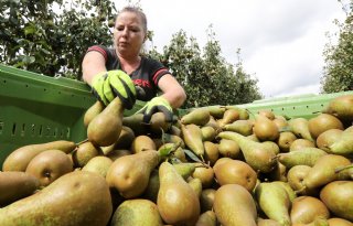 Tweejarige cao Open Teelten definitief