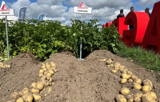 PotatoNL verlaagt Fontane naar 20 tot 26 euro