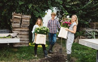 Start-up begint bestelplatform voor duurzame bloemen