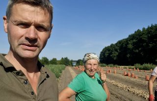 Oekraïne-vlogger Kees Huizinga: 'Uien oogsten met de hand'