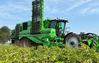 Duits aardappelareaal groeit 5 procent