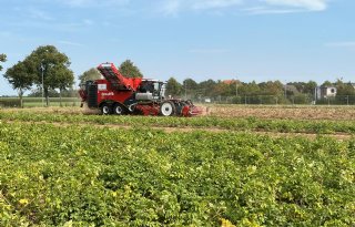 België en Duitsland importeren minder aardappelen