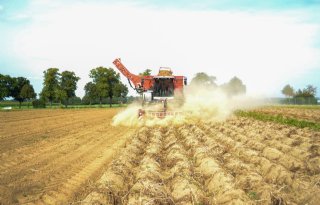 Duitsers oogsten 1 miljoen ton aardappelen meer dan in 2023