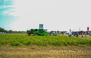 Geld+werkt+als+magneet+voor+uitbreiding+in+Europese+aardappelteelt