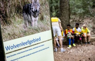 'Bagatelliseer gevaar van de wolf niet'