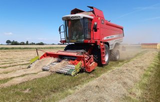 ‘Graszaad is een goede voorvrucht voor veel gewassen’