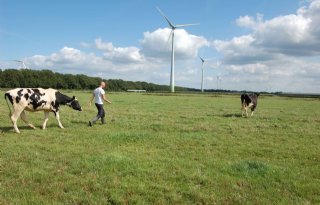 %27Van+omschakelen+word+je+niet+rijk%2C+maar+je+gaat+ook+niet+achteruit%27