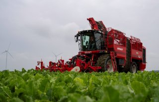 Loonbedrijf Breure-De Waard rooit eerste bieten voor campagne uit