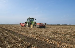 Intensieve teelt leidt tot dalende tendens in tonnen per hectare