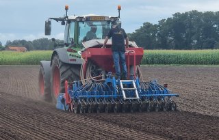 Colzaco+zaait+rassen+voor+onderzoek+naar+volledige+verwaarding+koolzaadplant