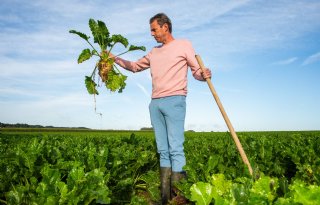 Zaaizaad spoelt in geultjes van het land bij Limburgse akkerbouwer