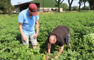 Brabantse+boer+verruilt+varkensstal+voor+bewaarplaats+aardappelen