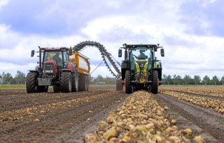 Goes noteert 12 tot 14 euro voor uien uit schuur