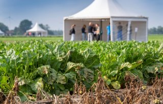 Integrated+Crop+Management+wijst+telers+weg+naar+minder+chemie