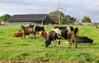 'Langetermijnvisie mist in stikstofplannen van kabinet'