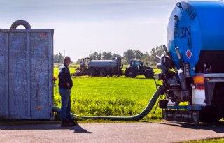 Melkveebedrijven zien afzetkosten mest verdubbelen