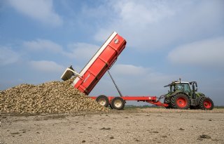 Cosun meldt lichte daling in suikergehaltes