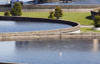 Afvalwater+uit+rioolzuivering+bruikbaar+voor+glastuinbouw