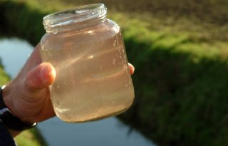 Waterschap+vindt+neonicotino%C3%AFde+in+sloot+bij+Bleiswijk