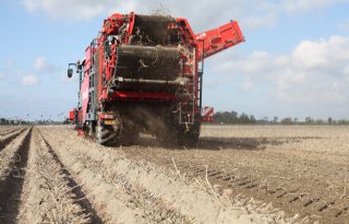 'Start direct na oogst met nieuwe teelt om stikstofverlies te beperken'