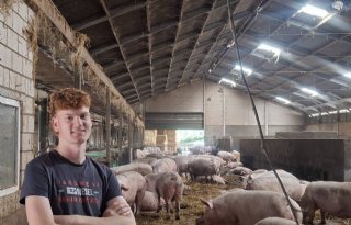 'PAS-problematiek zit mijn toekomstplannen voor het varkensbedrijf in de weg'