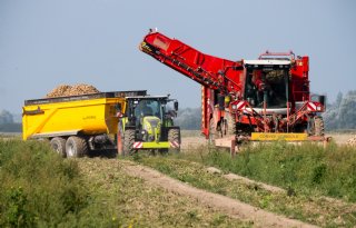 Telers zien Frans aardappelareaal 10 procent groeien