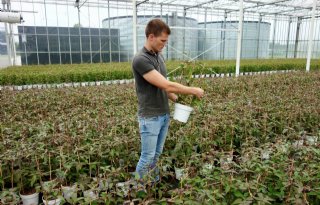 ‘Bomen en planten telen in veenvrije potgrond moet je echt leren’