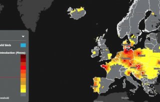 Verbeterde versie vogelgriep-radar nauwkeuriger bij inschatting risico op uitbraak