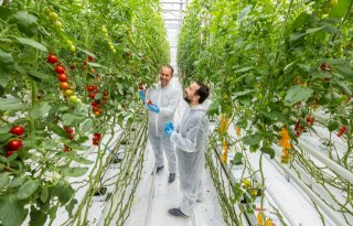 Onderzoekscentrum Proof is kraamkamer voor teeltoplossingen