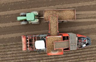 Beurzen noteren 20 euro voor fritesaardappelen af land