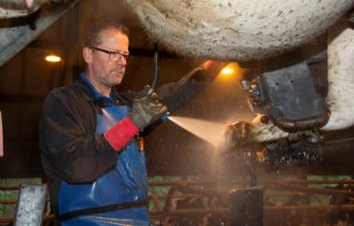 Klauw schoonspoelen essentiële eerste stap