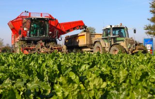 'Geef boeren hun collectiviteit terug'