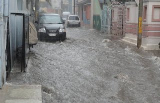 Spaanse veehouderijen zwaar getroffen door storm Dana