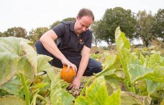 Bonten wil stap voor stap groeien met huisverkoop pompoenen