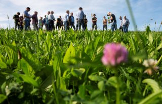 Areaal kruidenrijk grasland zit in de lift