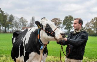 Van Beek heeft 'gezonde wedstrijdspanning' voor Holland Holstein sHow