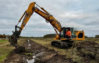 Boeren zijn alert op stijging grondwaterpeil bij herinrichting Geelbroek