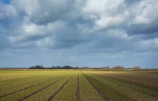 Noord-Holland trekt 3 miljoen uit voor verduurzamen boerenbedrijven