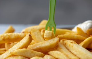 Fritesfabrieken verwerken meer van Nederlandse bodem